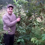 Inspecting coffee plants in Honduras